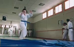 Cours de judo 9 14 ans